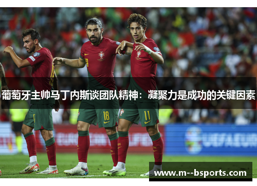 葡萄牙主帅马丁内斯谈团队精神：凝聚力是成功的关键因素
