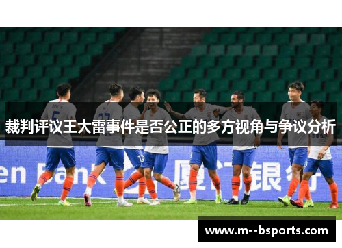 裁判评议王大雷事件是否公正的多方视角与争议分析