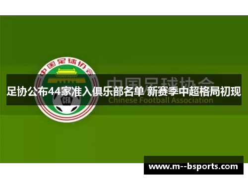 足协公布44家准入俱乐部名单 新赛季中超格局初现