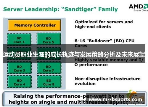 运动员职业生涯的成长轨迹与发展策略分析及未来展望